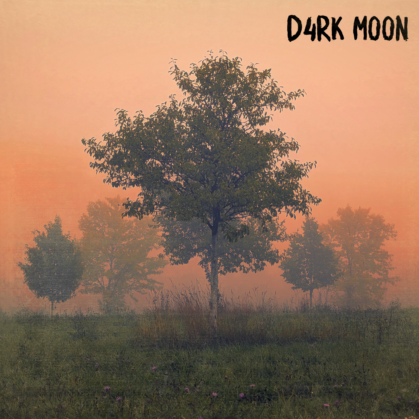 Album 2 cover